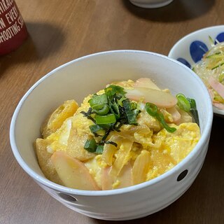 給料日前の節約レシピ！木葉丼